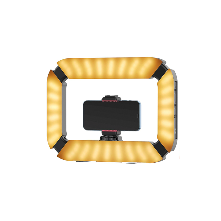 Ulanzi Smartphone Video Rig