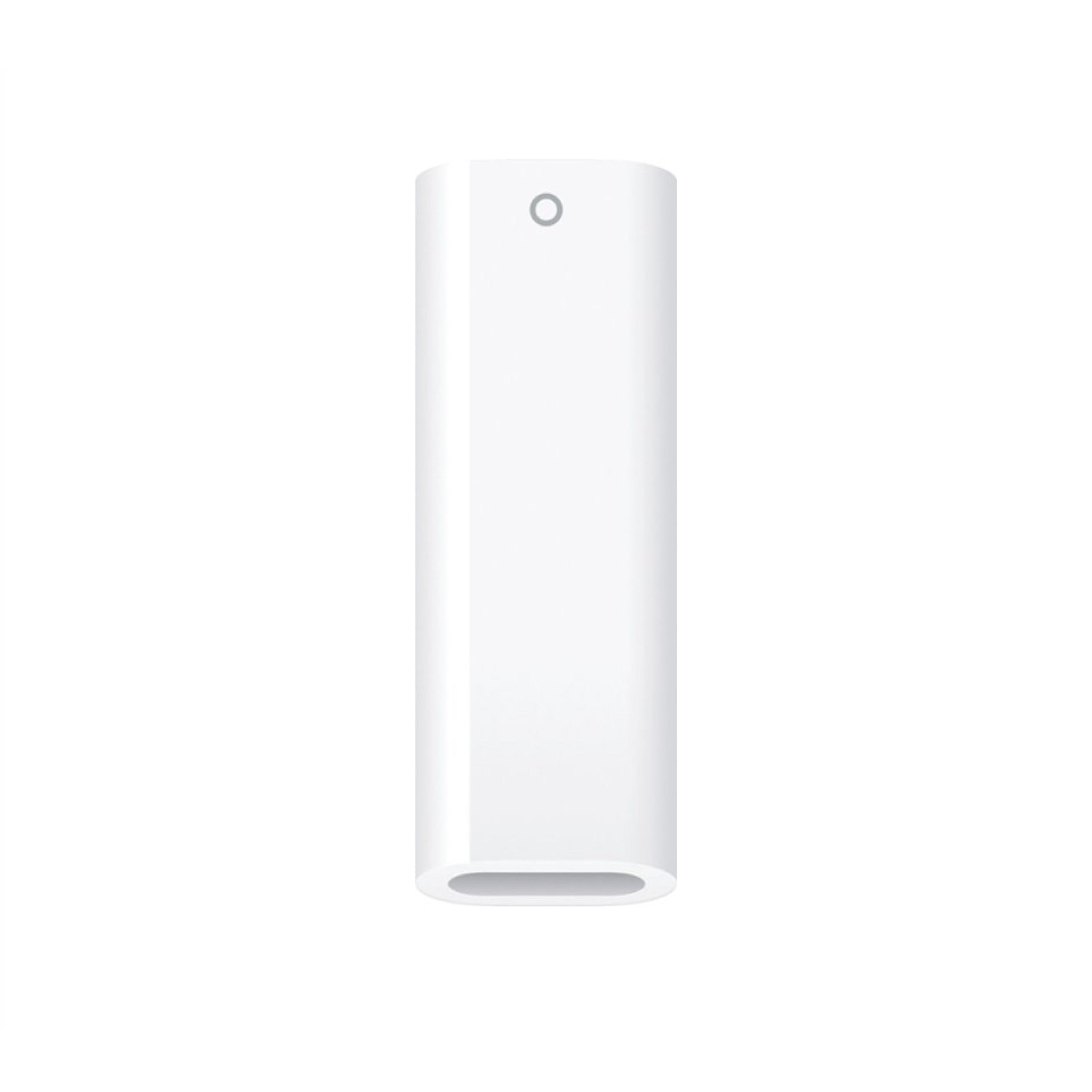 USB-C to Apple Pencil Adapter