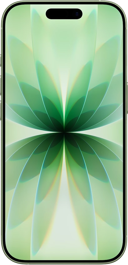 Illustration of an Eco Market iPhone